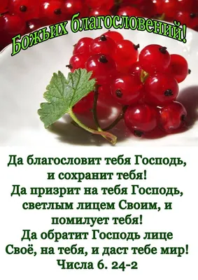 Храни Вас Господь наши Родные! 🌾🕊️🌾 📌Если ты предстоишь пред Богом и  просишь или стучишь, то стучи.. | ВКонтакте