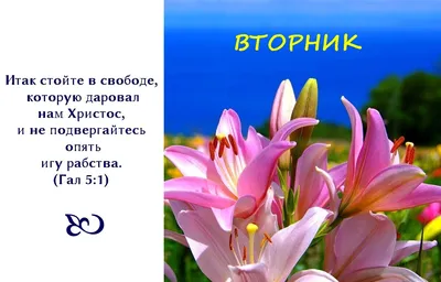 32 Библейские стихи о ободрении - DailyVerses.net