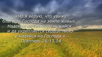 Цитати | Biblical verses, Verses, Wise words