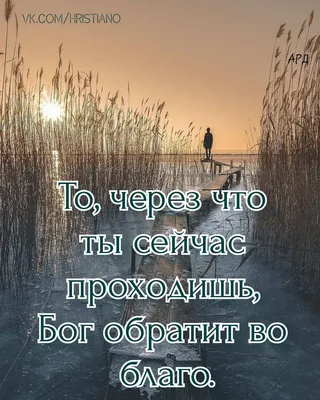 Христианские открытки на каждый день недели с библейским текстом. |  Христианские открытки | Дзен