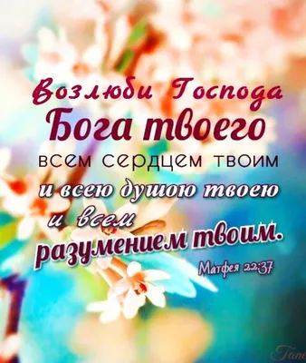 Думай о Вечном - #ОбетованиеКаждыйДень 🙏🏻 #Библия #БиблейскиеОбетования  #Обетование #ободрение #христиане | Facebook