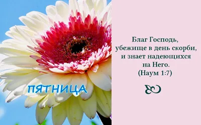 📜 #ЧитайКаждыйДень #Библия #БиблияНаКаждыйДень #истина #ободрение # христиане #адвентисты | ВКонтакте