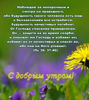 Пин от пользователя ÐÐ½Ð½Ð° Ð ÑÐ±Ð°Ðº на доске ободрение | Христианские  цитаты, Библия, Духовные цитаты