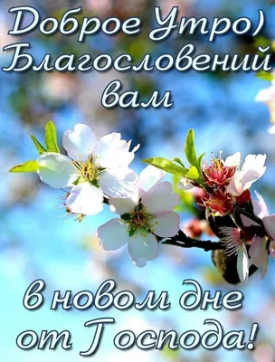 С ДОБРЫМ СЧАСТЛИВЫМ УТРОМ!!!🌷🌷🌷 Христианское пожелание - YouTube