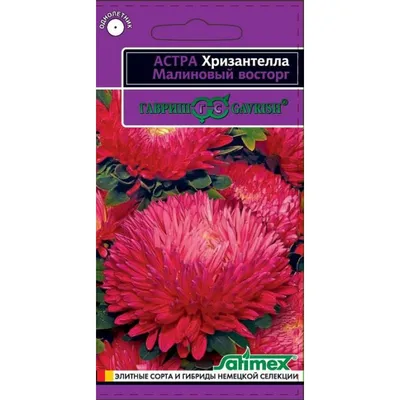 Семена астра Хризантелла купить в Украине почтой - Агрокрамниця Флорасад