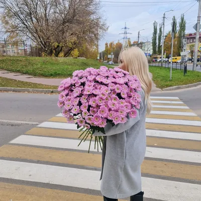 Хризантема кустовая Болт: купить оптом в Москве