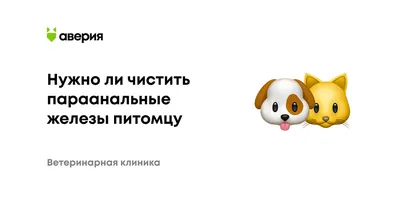 Пилонидальная киста копчика - причины, симптомы, диагностика, лечение и  профилактика