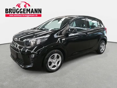 New Kia Picanto for Sale | Fun Compact Hatchback | Lloyd Kia