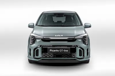 Driven to extinction: Kia Picanto GT