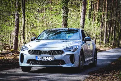 Kia Stinger GT Facelift (2021): Fahrbericht, Test, Preis - AUTO BILD