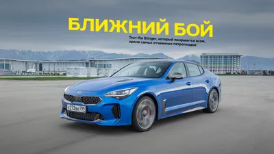 Kia Stinger entdecken | Kia Österreich