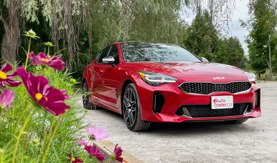 Видео: изучаем Kia Stinger GT с V6, который быстрее Porsche Panamera —  Лаборатория — Motor