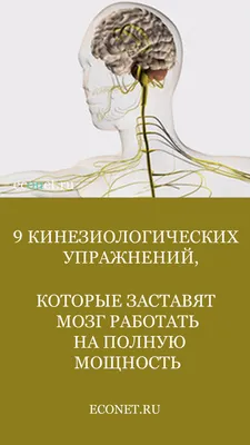 Международная Ассоциация педагогов Ментальной Арифметики IAMA - 🙉  Кинезиология – наука о развитии головного мозга через движение. Кинезиологические  упражнение – это комплекс движений позволяющих активизировать межполушарные  связи, которые улучшают ...