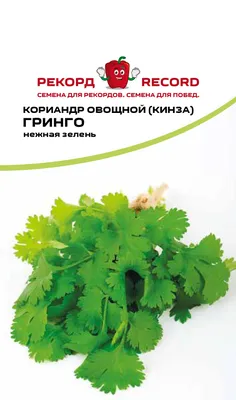 Купить ассорти Зеленый мир Кавказское укроп-петрушка-кинза-базилик 75 г,  цены на Мегамаркет | Артикул: 100040813580