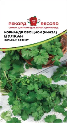 Фото: Кинза, кафе, ул. Семёна Середы, 29, корп. 1, Рязань — Яндекс Карты