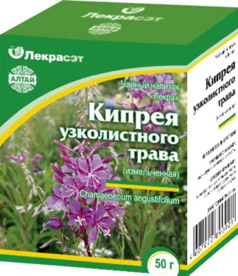 Иван-чай - польза, вред и миф. | В лесах и на лугах... | Дзен