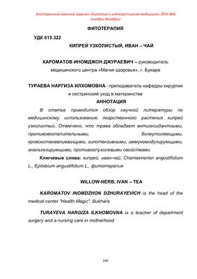 Да, не садовый, но невероятно красивый Иван-чай или Кипрей узколистный –  яркое украшение лета | Точка соприкосновения | Дзен