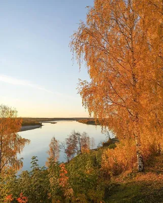 Северное сияние в Кировской области. Фото | 20.09.2023 | Киров - БезФормата