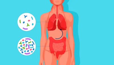 Как микробиота помогает болеть меньше?