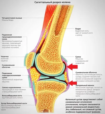 Киста Бейкера – симптомы, причины, диагностика и лечение заболевания |  «Будь Здоров»