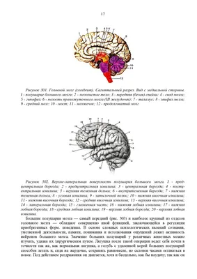 Лечение артроза тазобедренного сустава в Киеве - цена консультации от 650  грн | Омега-Киев