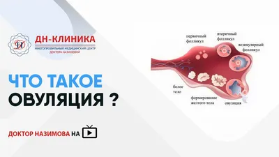 киста больших размеров - Киста и кистома яичника – вопрос специалисту №2 -  Гинекологический форум