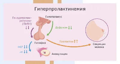 Киста яичника при беременности: опасна ли - Юнона