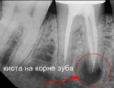 МЕДИДЕНТ | Стоматологическая клиника