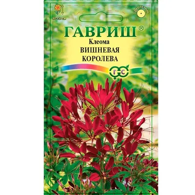 Клеома Цветной фонтан 0.5 г Gl Seeds (ID#541894229), цена: 8.10 ₴, купить  на Prom.ua