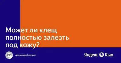 Может ли клещ полностью залезть под кожу человеку | ДЭТА