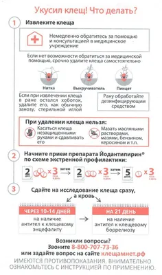 Специалист: первые симптомы боррелиоза могут проявиться через несколько  месяцев после заражения | Мнение | ERR