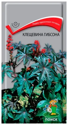 Купить семена Клещевина Гибсона Красные листья в магазине Первые Семена по  цене 48 руб.