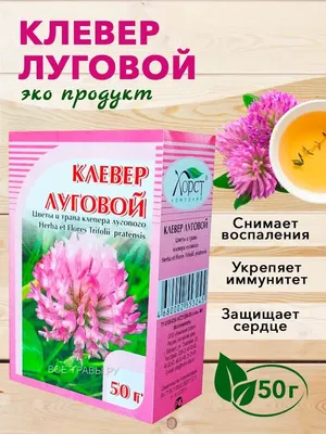 Картина Клевер Четырехлистный, Символ Удачи, Трилистник, х/м, 24х18 купить  в интернет-магазине Ярмарка Мастеров по цене 1500 ₽ – NNR4YBY | Картины,  Воронеж - доставка по России