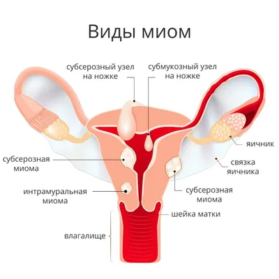 Климакс: симптомы и лечение, отличия от менопаузы 🌺 – Юнона