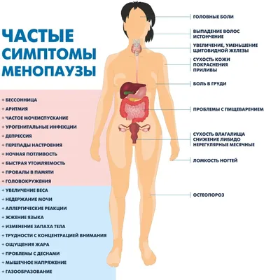 Что такое климакс и менопауза у женщин? - Блог Врача о Здоровье