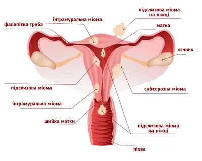 Мужской климакс: симптомы и как побороть - Здоровье 24