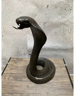 Suedasiatische kobra hi-res stock photography and images - Alamy