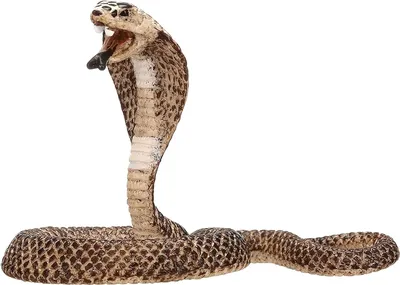 Karikatur Süße Kobra-Schlange Auf Weißem Hintergrund Vektor Abbildung -  Illustration von komisch, bissen: 235944293