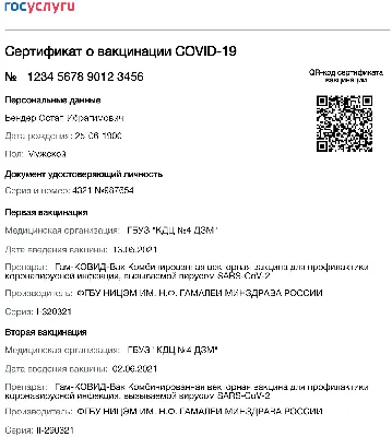 Как сгенерировать и считать QR-код - Лайфхакер