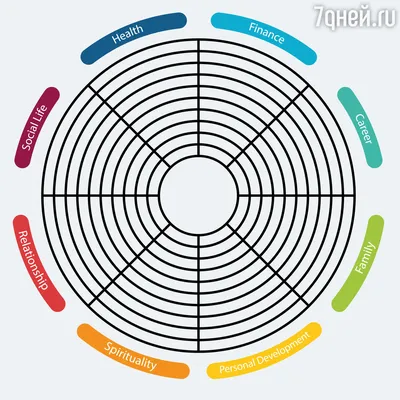 Колесо баланса: что это такое и как его правильно использовать - 7Дней.ру