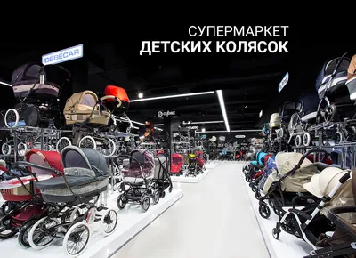 Детская коляска Avenir Plaudi Classic 3 в 1 купить в интернет-магазине  \"Лёксик\" - Kolyaska-Krovatka.RU