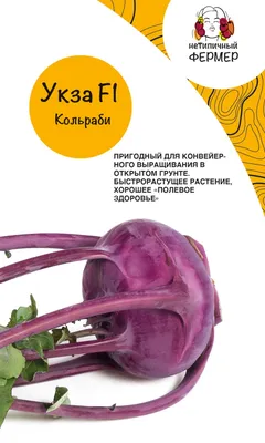 Капуста кольраби Нежная пурпурная (Delicacy Purple)