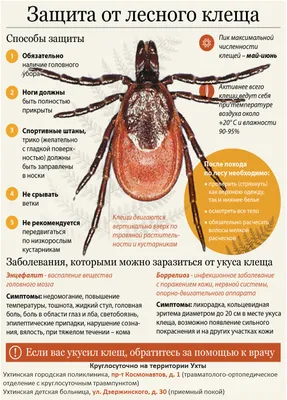 Аллергия? Посмотрите, может у кого то было подобное? Форум