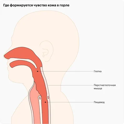 Ком в горле: причины, как избавиться от ощущения комка в гортани