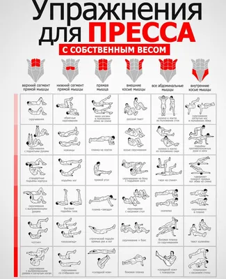 Адаптивные возможности комплекса двигательных упражнений при коррекции  дизартрии у детей младшего школьного возраста – тема научной статьи по  наукам о здоровье читайте бесплатно текст научно-исследовательской работы в  электронной библиотеке КиберЛенинка