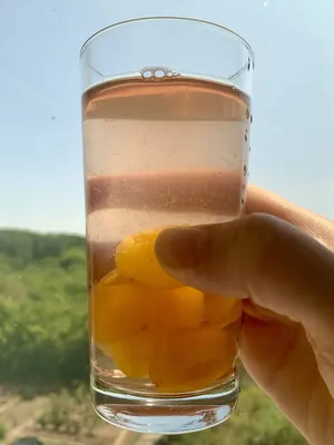 Kompot - A Healthy Summer Beverage – Healthy Blog