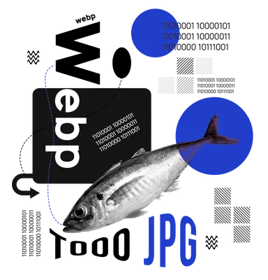 WebP в JPG(JPEG) – Конвертация изображений в формате WebP в JPG(JPEG)