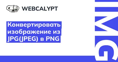 JPG в PNG – Конвертация изображений в формате JPG в PNG