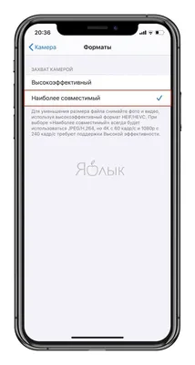 OFFICIAL] FoneLab HEIC Converter - конвертировать фотографии HEIC в JPG /  PNG