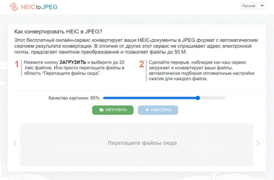 Как удалить фон с фотографии без фотошопа? Как конвертировать PNG в  JPG/JPEG? | Wondershare | Дзен